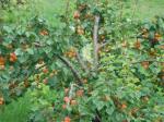 dsc01314.jpg