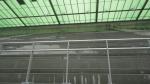 dsc00341.jpg